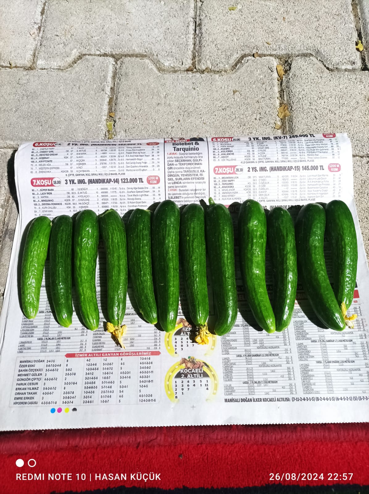 Asaf Tarım ve Hayvancılık